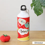 Cap Alu Bottle (600ml)