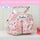 Princess Insulated Tiffin Bag
